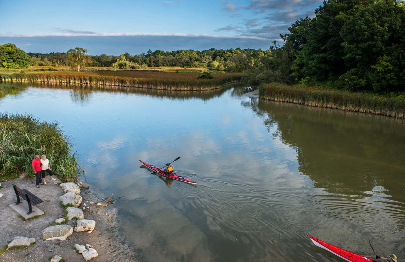 Exploring Toronto’s Natural Beauty: Hiking and Kayaking Adventures