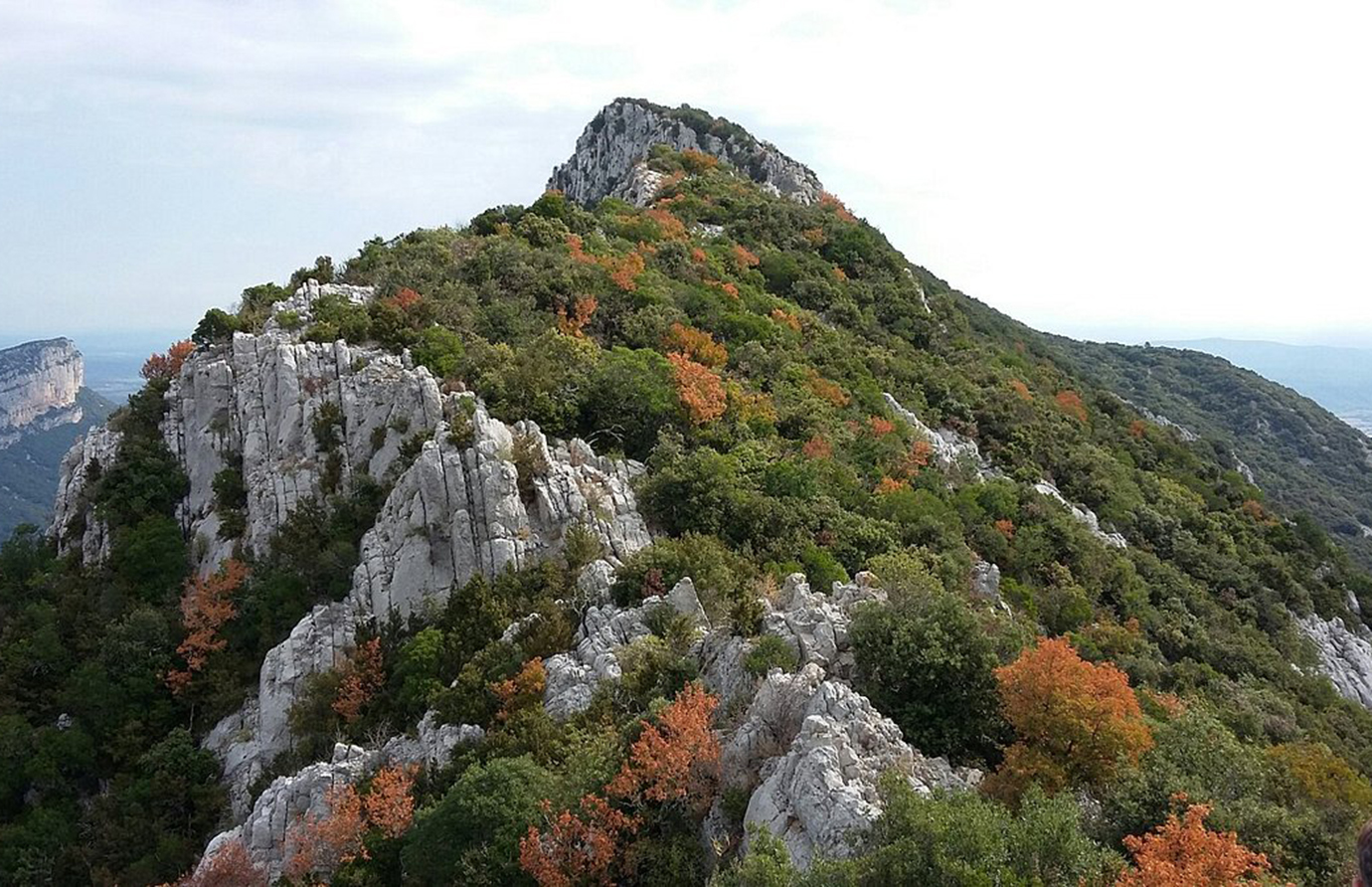 Montpellier’s Top Outdoor Activities: From Hiking Trails to Beach Fun